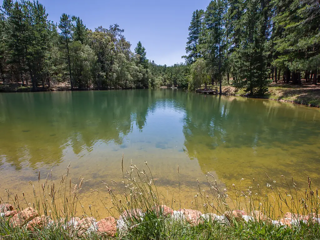 Main view of Homely rural property listing, 136 Preston Rd, Thomson Brook WA 6239