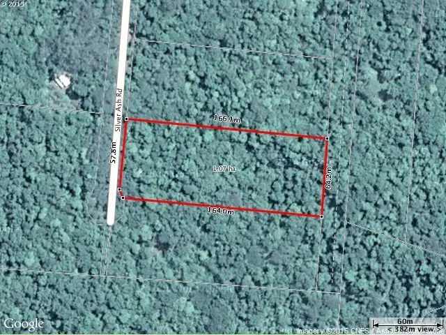 Second view of Homely land listing, 515 Silver Ash Road, Daintree QLD 4873
