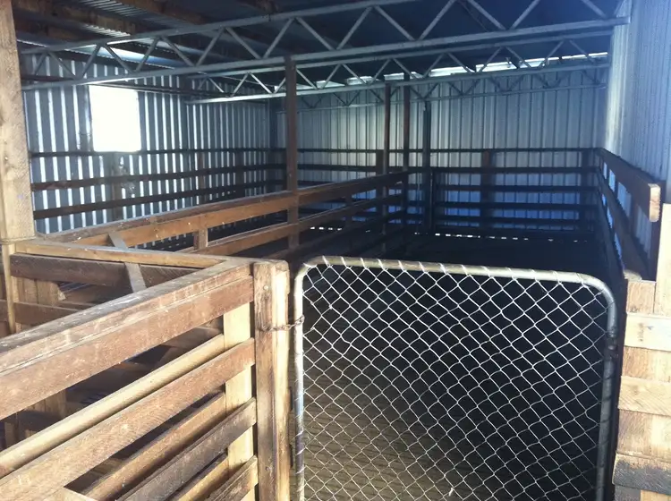 Sixth view of Homely rural property listing, . Bresnehans Road, Little Swanport TAS 7190