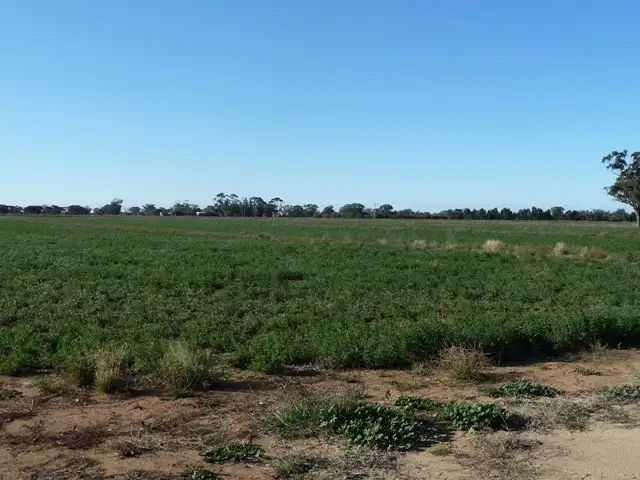 Fourth view of Homely rural property listing, Lot 1 Thyra Road, Moama NSW 2731