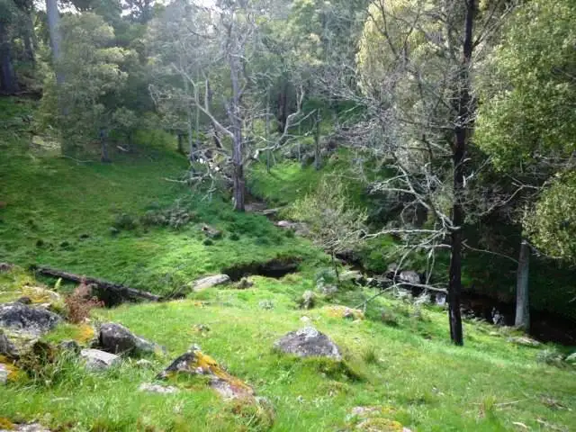 Fourth view of Homely house listing, 127 Widdons Road, Devon North VIC 3971