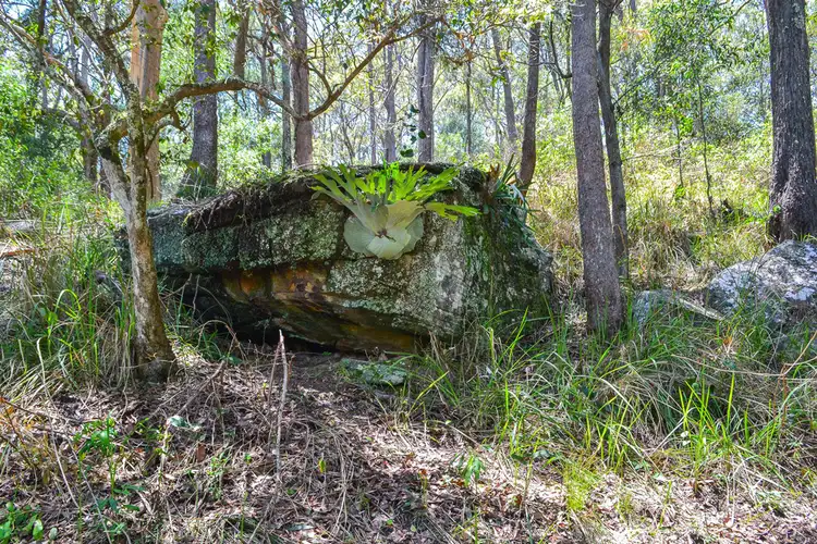 Fifth view of Homely land listing, Lot 304 & 305 Islay Street, Maclean NSW 2463