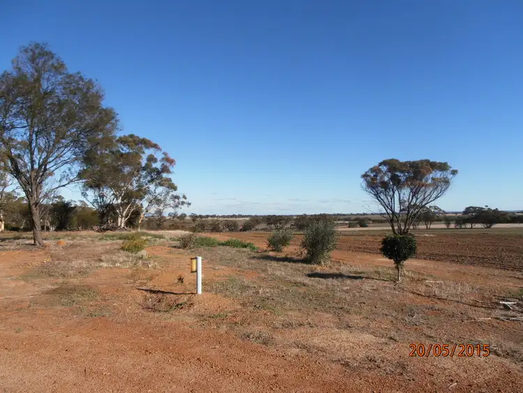 Seventh view of Homely rural property listing, 1107 Behanging North Rd, Calingiri WA 6569