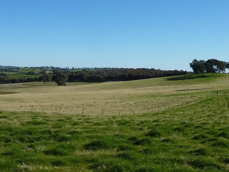 Seventh view of Homely rural property listing, 429 Coreinbob Siding Road, Ladysmith, Wagga Wagga NSW 2650