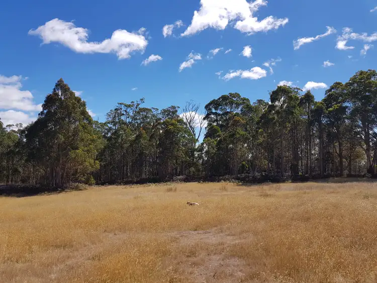 Fourth view of Homely rural property listing, 121 High Peak Road, Tunnack TAS 7120