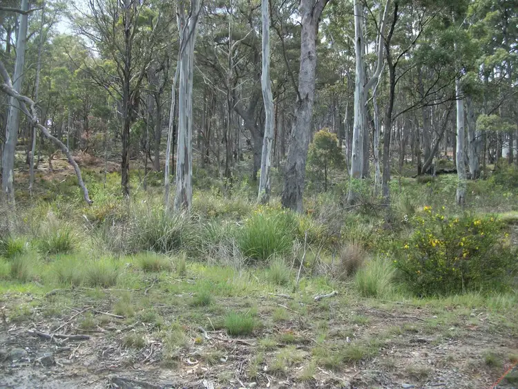 Seventh view of Homely land listing, 42-46 Lee Street, Rossarden TAS 7213