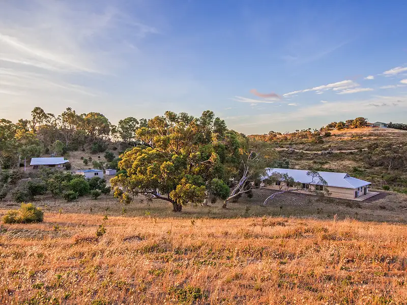 Main view of Homely house listing, 9 Olive Hill Close, Karnup WA 6176