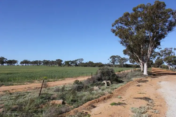 Main view of Homely rural property listing, Lot 16651 Korbrelkulling Road, Merredin WA 6415