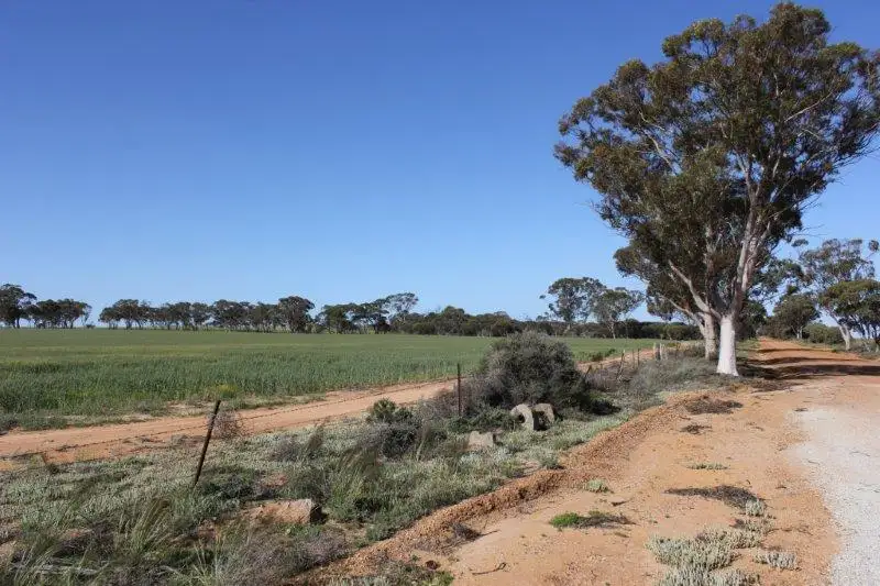 Main view of Homely rural property listing, Lot 16651 Korbrelkulling Road, Merredin WA 6415