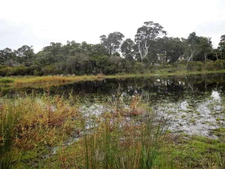 Fifth view of Homely land listing, 952 Richardson Rd, Northcliffe WA 6262