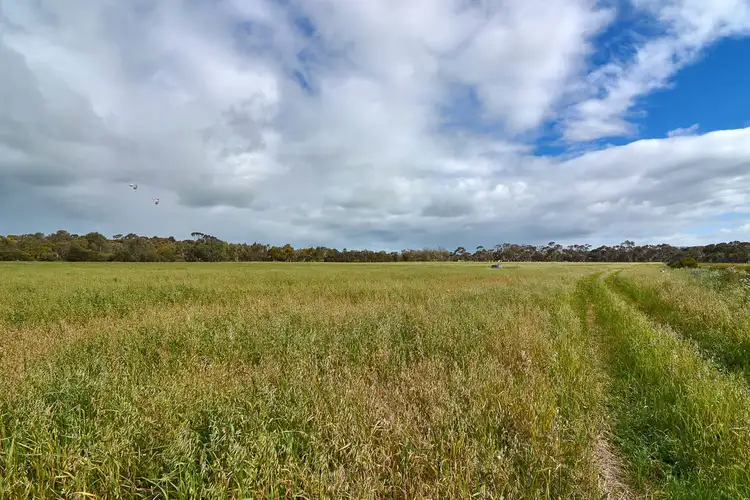 Third view of Homely rural property listing, 31 (A61) Swamp Road, Strathalbyn SA 5255