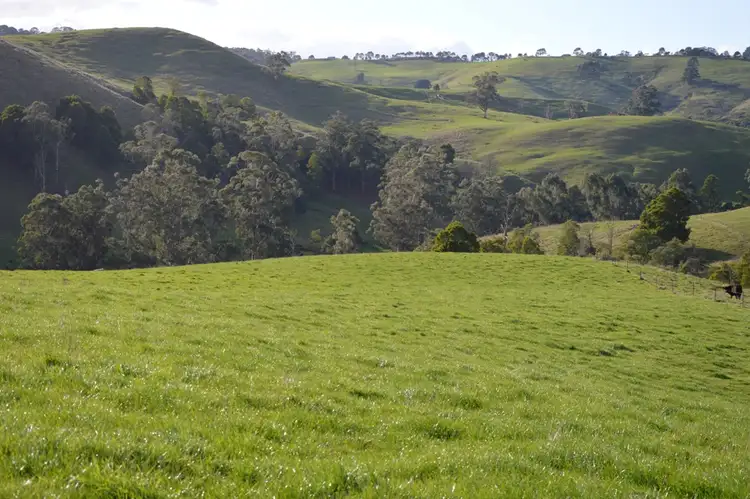 Seventh view of Homely rural property listing, 80 Wilsons Road, Arawata via, Korumburra VIC 3950