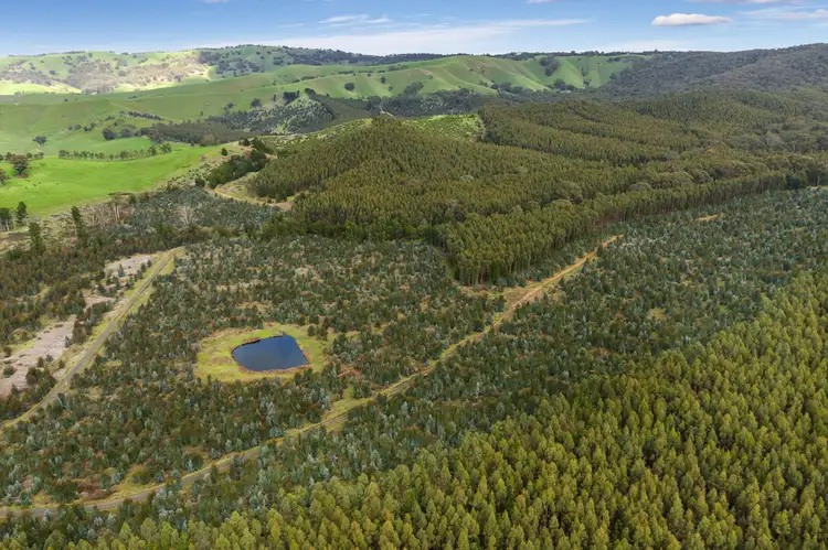 Second view of Homely rural property listing, 910 King Parrot Creek Road, Strath Creek VIC 3658