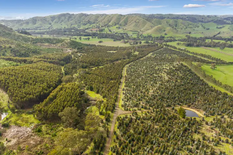 Third view of Homely rural property listing, 910 King Parrot Creek Road, Strath Creek VIC 3658