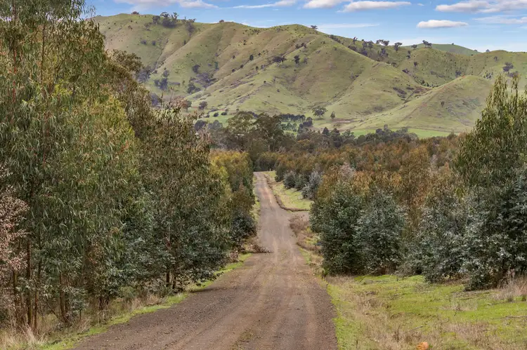 Fourth view of Homely rural property listing, 910 King Parrot Creek Road, Strath Creek VIC 3658