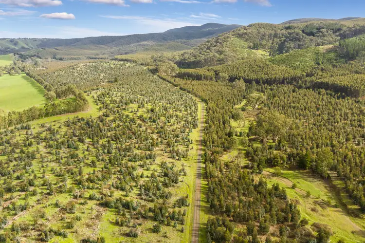 Fifth view of Homely rural property listing, 910 King Parrot Creek Road, Strath Creek VIC 3658
