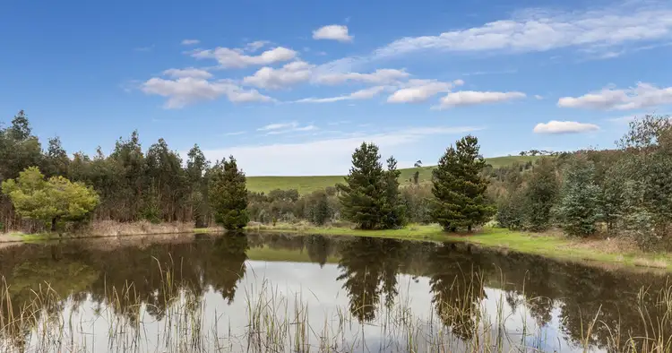 Sixth view of Homely rural property listing, 910 King Parrot Creek Road, Strath Creek VIC 3658