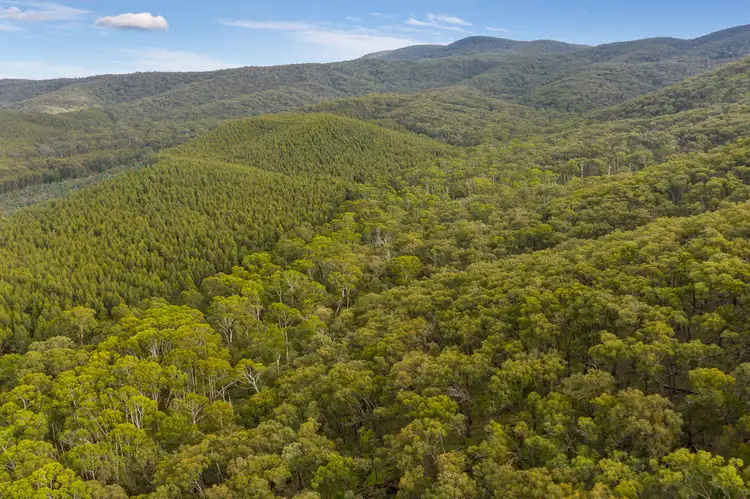 Seventh view of Homely rural property listing, 910 King Parrot Creek Road, Strath Creek VIC 3658