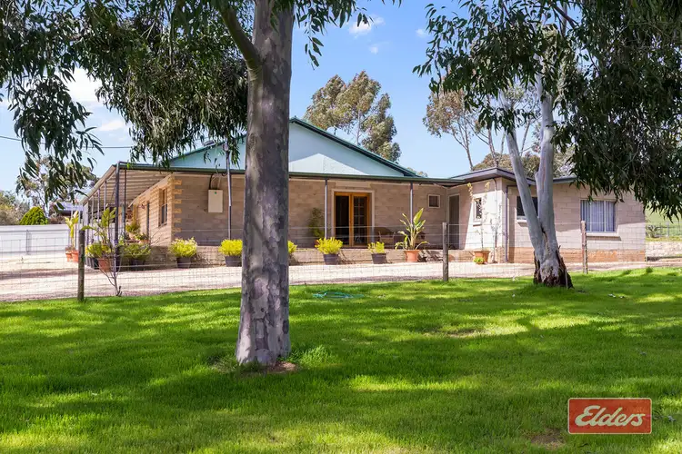 131 Yettie Road, Williamstown SA 5351