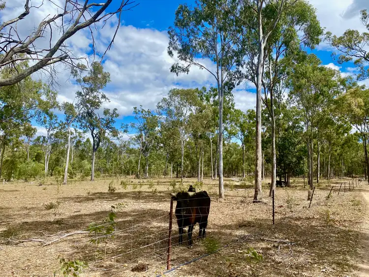 Fourth view of Homely house listing, 825 Round Hill Road, Captain Creek QLD 4677