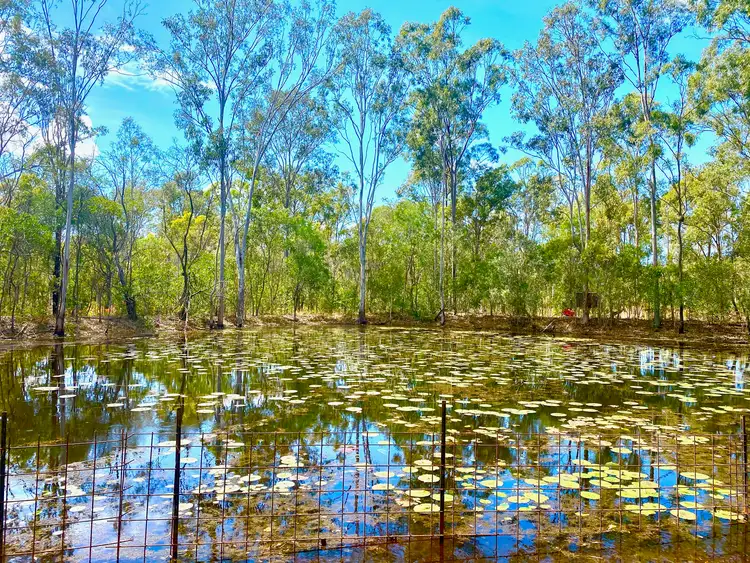 Fifth view of Homely house listing, 825 Round Hill Road, Captain Creek QLD 4677