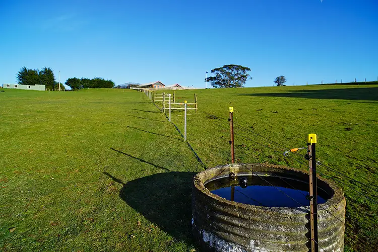 Fifth view of Homely house listing, 617 Deep Creek Road, Wynyard TAS 7325