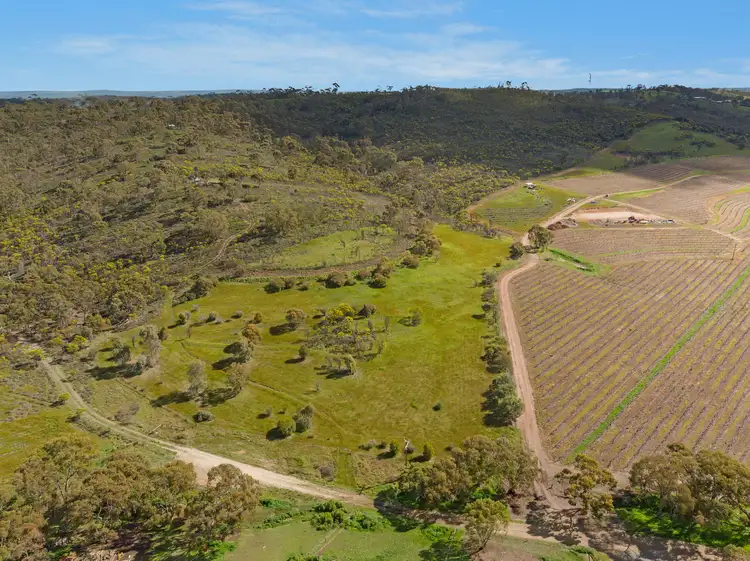 Lot 3 OHLMEYER PARK ROAD, Emu Flat SA 5453