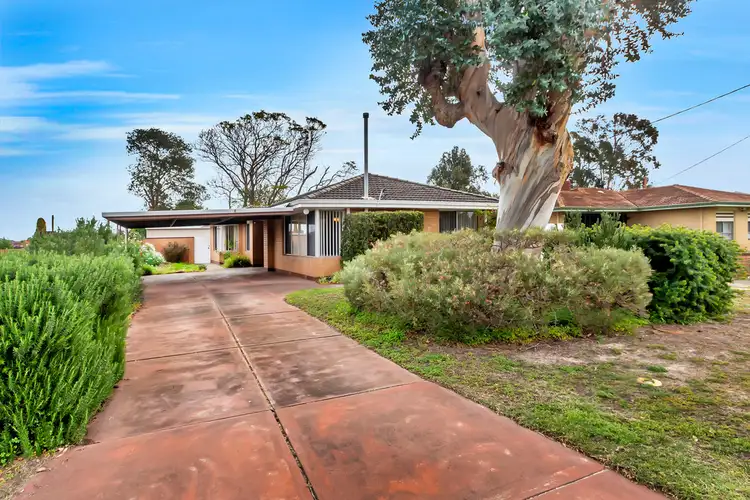 5 Montfort Place, Morley WA 6062