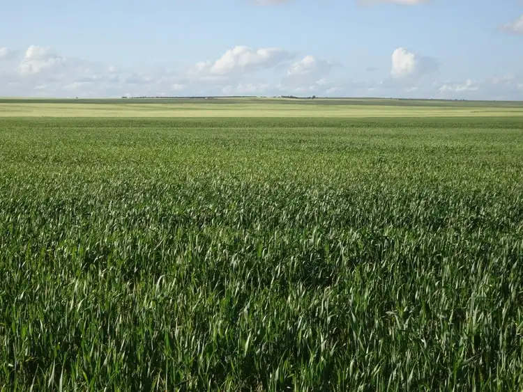 Main view of Homely rural property listing, Lot 2463 Holmes Road, Karlgarin WA 6358