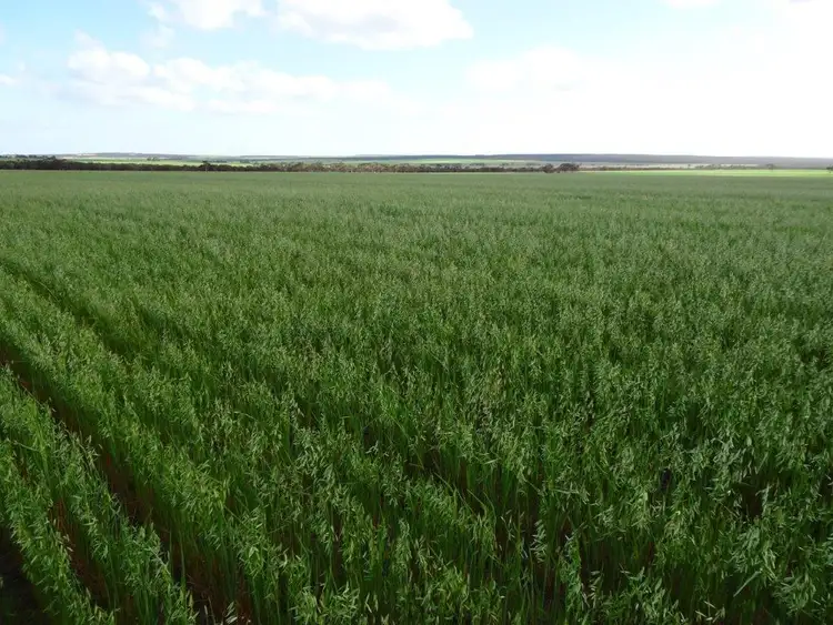 Second view of Homely rural property listing, Lot 2463 Holmes Road, Karlgarin WA 6358