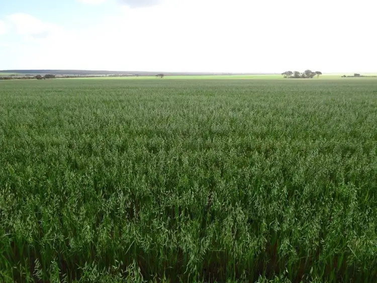 Third view of Homely rural property listing, Lot 2463 Holmes Road, Karlgarin WA 6358