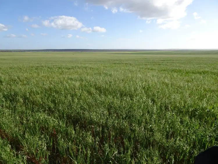 Fifth view of Homely rural property listing, Lot 2463 Holmes Road, Karlgarin WA 6358