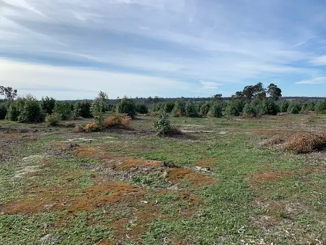 Main view of Homely rural property listing, Lots 10 & 11 Hart Road, Cardiff WA 6225