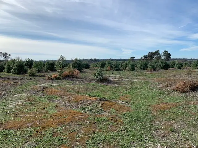 Main view of Homely rural property listing, Lots 10 &amp; 11 Hart Road, Cardiff WA 6225