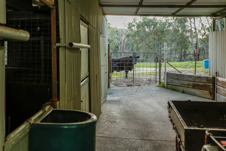 Fourth view of Homely rural property listing, 5 Vernon Avenue, Mundaring WA 6073