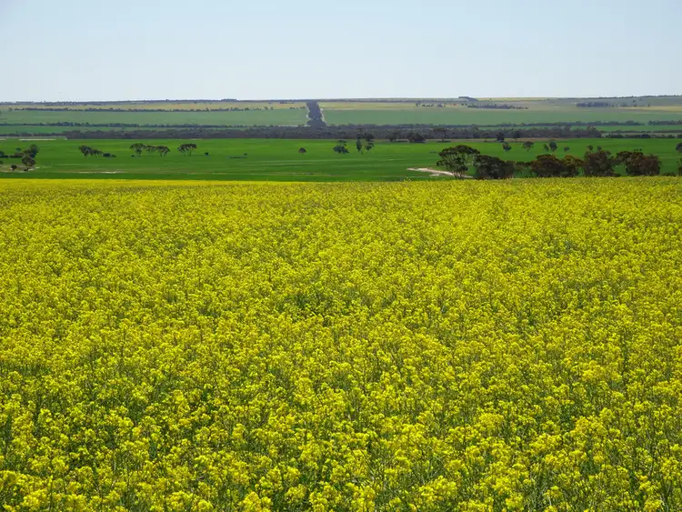 Main view of Homely rural property listing, Lot 2533 Worland Road, Karlgarin WA 6358