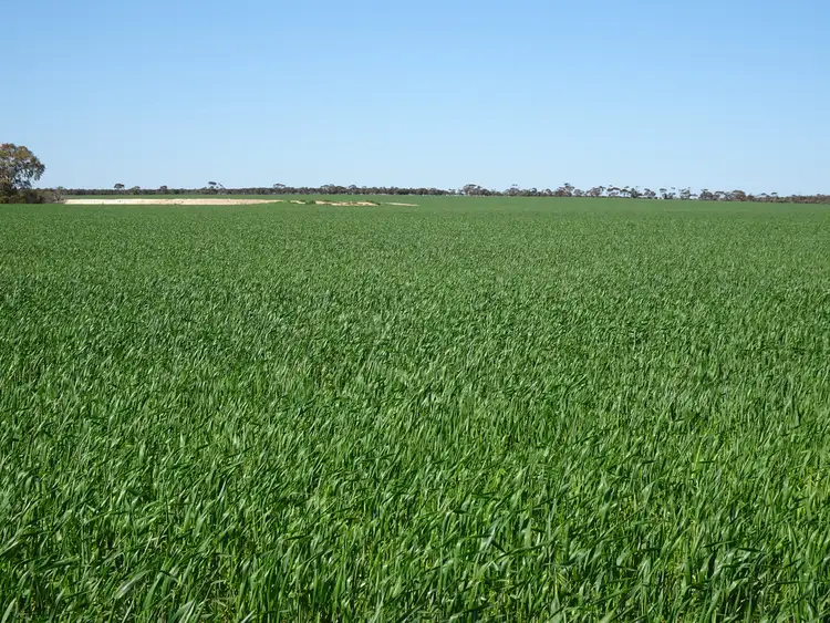 Second view of Homely rural property listing, Lot 2533 Worland Road, Karlgarin WA 6358