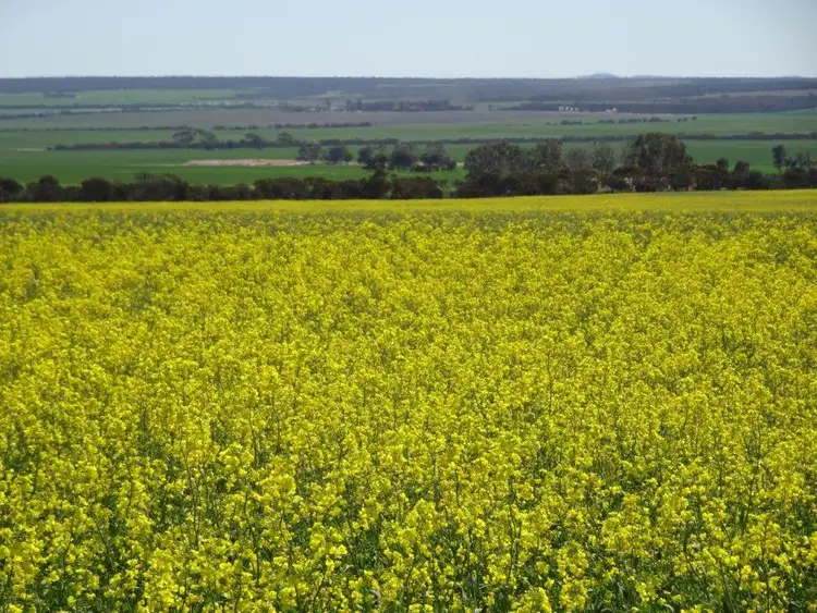 Fifth view of Homely rural property listing, Lot 2533 Worland Road, Karlgarin WA 6358