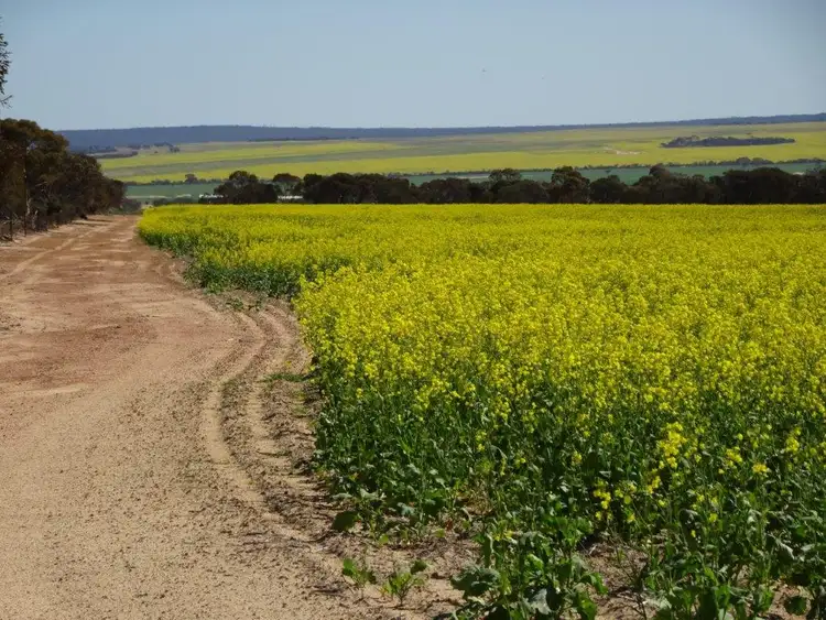 Seventh view of Homely rural property listing, Lot 2533 Worland Road, Karlgarin WA 6358