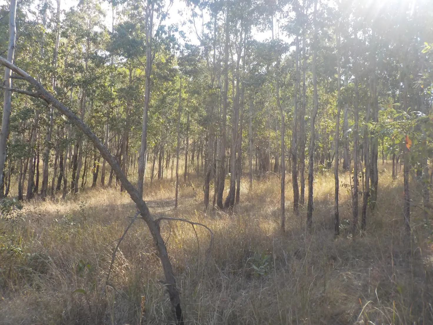 Main view of Homely land listing, LOT 11 gaeta rd, Gaeta QLD 4671