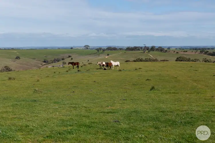 Third view of Homely land listing, 415 Browns Road, Dereel VIC 3352