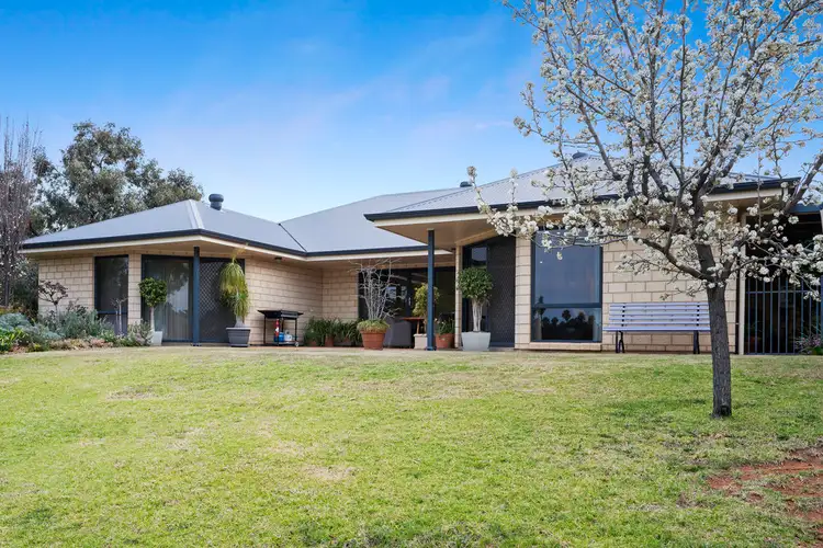 Second view of Homely house listing, 7 Cocos Place, Renmark SA 5341