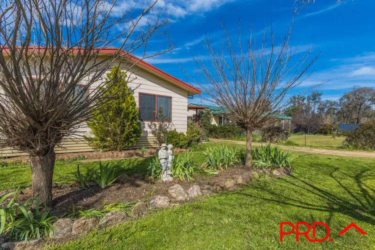 Main view of Homely house listing, 14 Duncan Street, Woolomin NSW 2340