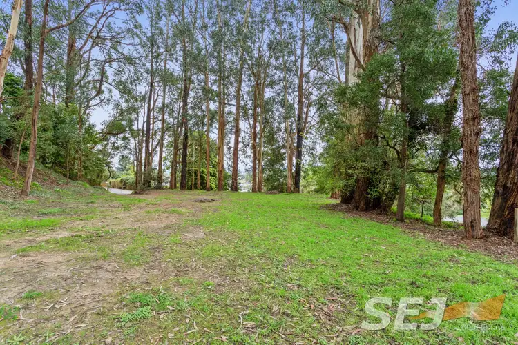9 Slatters Road, Trafalgar VIC 3824