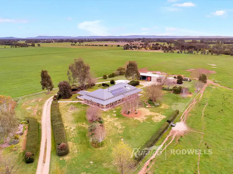 Second view of Homely rural property listing, 609 Petticoat Lane, Londrigan VIC 3678