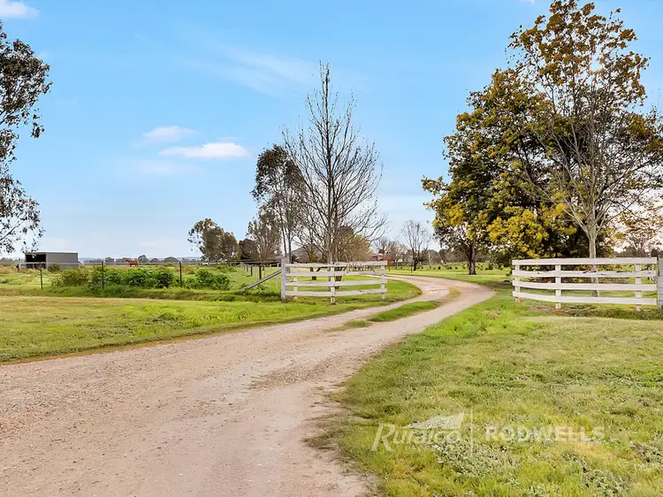 Third view of Homely rural property listing, 609 Petticoat Lane, Londrigan VIC 3678