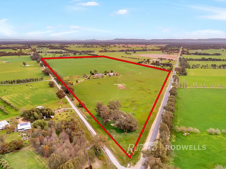 Fourth view of Homely rural property listing, 609 Petticoat Lane, Londrigan VIC 3678