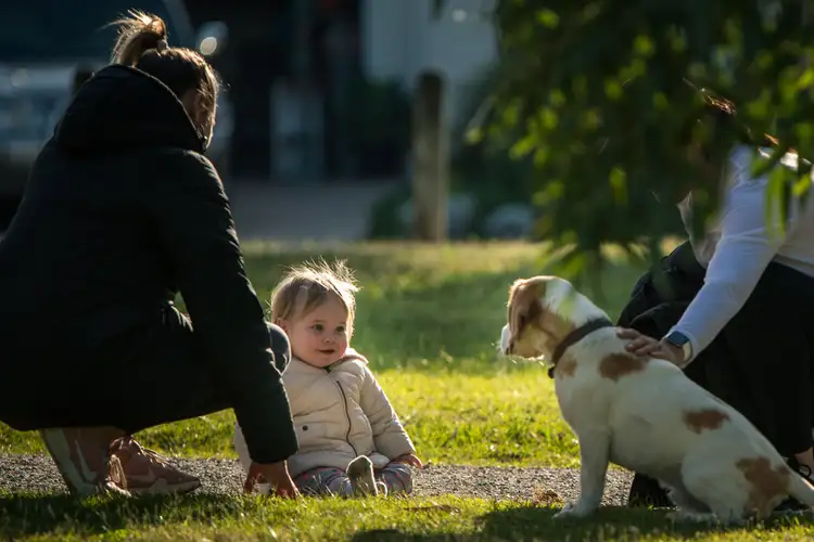 Fifth view of Homely land listing, Lot 261 Shorebreak Way, Ocean Grove VIC 3226