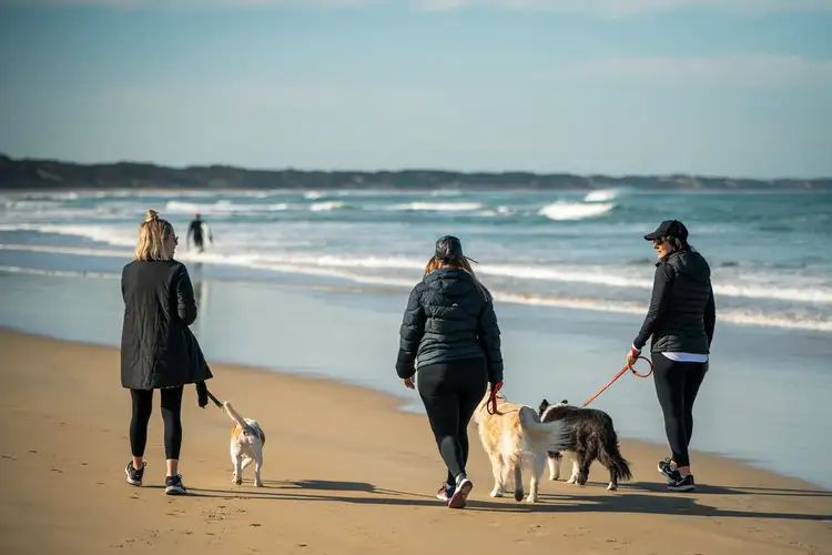 Third view of Homely land listing, Lot 225 Duneview Drive, Ocean Grove VIC 3226