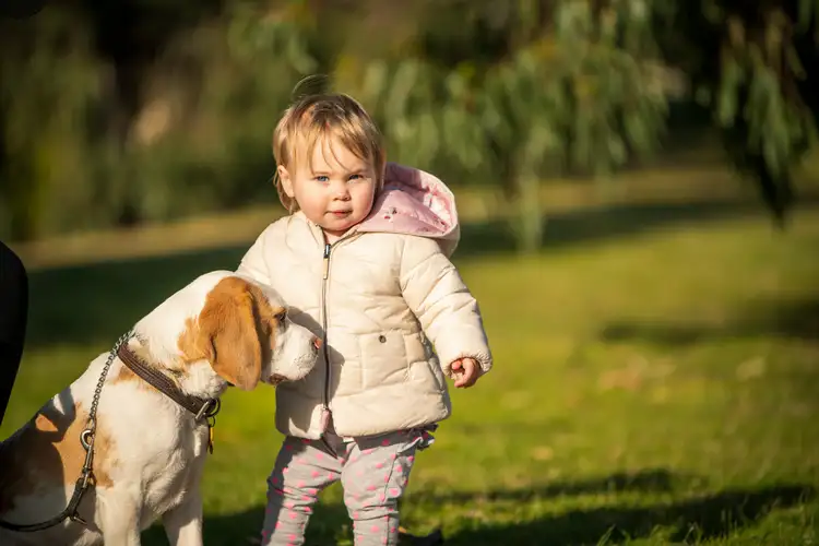 Third view of Homely land listing, Lot 213 Oakdean Blvd, Ocean Grove VIC 3226